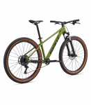 Jalgratas GIANT Talon 2, 29" Dried Matcha (L)