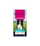 Eukanuba karma sucha dla psa średnie rasy kurczak 15 kg
