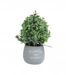 Kunsttaim GREENLAND potis, eukal&uuml;pt