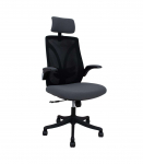 T&ouml;&ouml;tool TANDY hall/must