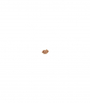 ROYAL CANIN British Shorthair packet 12x85g