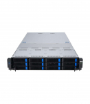 Asus Rack (2U) Platform RS521A-E12-RS12U
