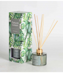 Kodul&otilde;hnastaja NATURE GREEN 100ml, Evergreen