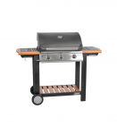 GAASIGRILL HECHT FIREWOOD 3