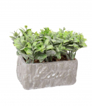 Kunsttaim GREENLAND potis, hall kivi