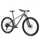 Jalgratas GIANT Talon 1, 29" Charcoal (L)