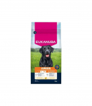 Eukanuba Premium Nutrition Junior Large & Giant Breed, kurczak 15kg