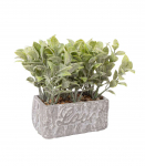 Kunsttaim GREENLAND potis "Love"