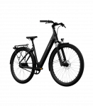 Elektrijalgratas TENWAYS CGO800S, Midnight Black