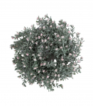 P&auml;rg FLOWERLY D24cm, roosad &otilde;ied