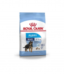 Royal Canin SHN Maxi Puppy - dry puppy food - 4kg