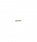 Seinariiul SALINAS SAIP01