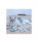 ANIMAL ISLAND wołowina/kurczak/indyk/ryba mix smak&oacute;w 80x85g