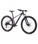 Naiste jalgratas LIV Tempt 3. 29" Tyrian Purple (S)