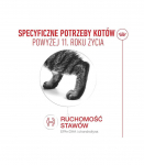 ROYAL CANIN Ageing 11+ Chunks in gravy - wet cat food - 12x85g