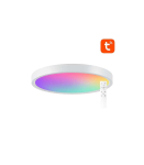 Smart ceiling lamp 30cm WiFi/Bluetooth 16M RGBCW Gosund LB12 1920lm Tuya + Remote Control.