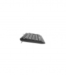 Natec Keyboard, Trout, US Layout, Slim, Black Natec NKL-0967 Trout Standard Wired US Black USB Type-A |