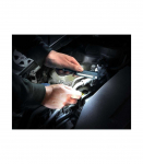 Flashlight everActive WL-200 3W COB LED