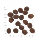 WOLFSBLUT Polar Night Reindeer with sweet potatoes - dry dog food - 12,5kg