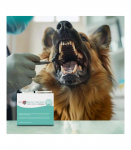JM SANTE Pro Oral Cavity &ndash; Gums - dental solution for oral hygiene for dogs and cats &ndash; 10&times;3 ml