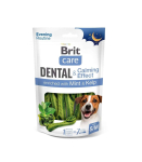 BRIT DENTAL TOOTHBRUSH S/M CALMING EFFECT 140g