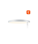 Smart ceiling lamp 32cm WiFi/Bluetooth 16M RGBCW Gosund LB11 1920lm Tuya + Remote Control.