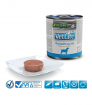 FARMINA Vet Life Canine Hypoallergenic Fish&Potato &ndash; wet food for adult dogs 300 g