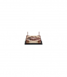 Noctua NA-SFMA1 computer cooling component Universal Mounting kit Black 2 pc(s)