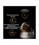 PURINA Pro Plan Everyday nutrition All size Adult Fish in jelly - wet dog food - 400g