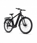 Elektrijalgratas TENWAYS AGO X, 29" Midnight Black (M)