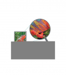 HP Cartridge No 203A HP203A HP 203A Black Schwarz (CF540A)