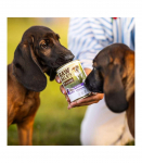 RAW PALEO Puppy Monoprotein Duck - wet food for puppies - 400 g