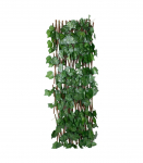 Aed GREENLAND 120cm, puidust raam