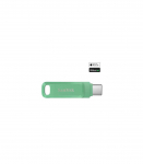 MEMORY DRIVE FLASH USB-C 256GB/SDDDC3-256G-G46AG SANDISK