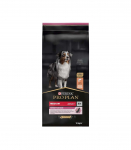 Purina Medium Adult Sensitive Skin 14 kg Salmon