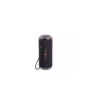 Kodak PWS-2252 Portable Wireless Speaker