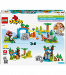 LEGO DUPLO Kolm &uuml;hes metsloomade perekonnad.