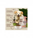 VET EXPERT Raw Paleo Healthy Grain Puppy Salmon and barley - dry dog ​​food - 2 kg