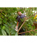 BLACK & DECKER BEHTS401-QS Hedge Trimmer, 500 W, 55 cm