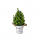 Roheline kuusk IN GARDEN, H30cm, plekkpott k&ouml;iest sangadega