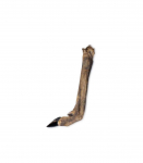 UNISZKI Roe deer hoof - dog treat - 1