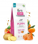 Expirace 13.6. 2026: Brit Care Dog Grain-free Puppy Salmon 12 kg