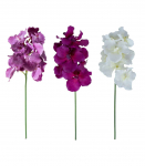 Orhidee FLOWERLY H60cm, mix