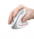 MOUSE USB OPTICAL WRL VERTO/ERGONOMIC WHITE 25132 TRUST
