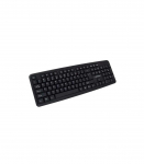Esperanza EK134 keyboard USB Black