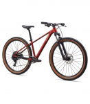 Naiste jalgratas LIV Tempt 2, 29" Mars Dust (S)