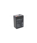 BATTERY 6V 4.5AH VRLA/EP4.5-6 EUROPOWER EMU