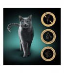 SHEBA Nature's Collection Poultry Flavors in jelly - wet cat food - 40 x 85g