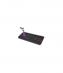 Genesis THOR 230 Mechanical Gaming Keyboard Wireless US Black 2.4 GHz, Bluetooth, USB Outemu Panda