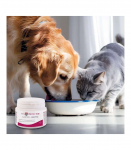 JM SANTE Vet Protector Gastro - Biotyk - multibiotic for dogs and cats &ndash; 60 g